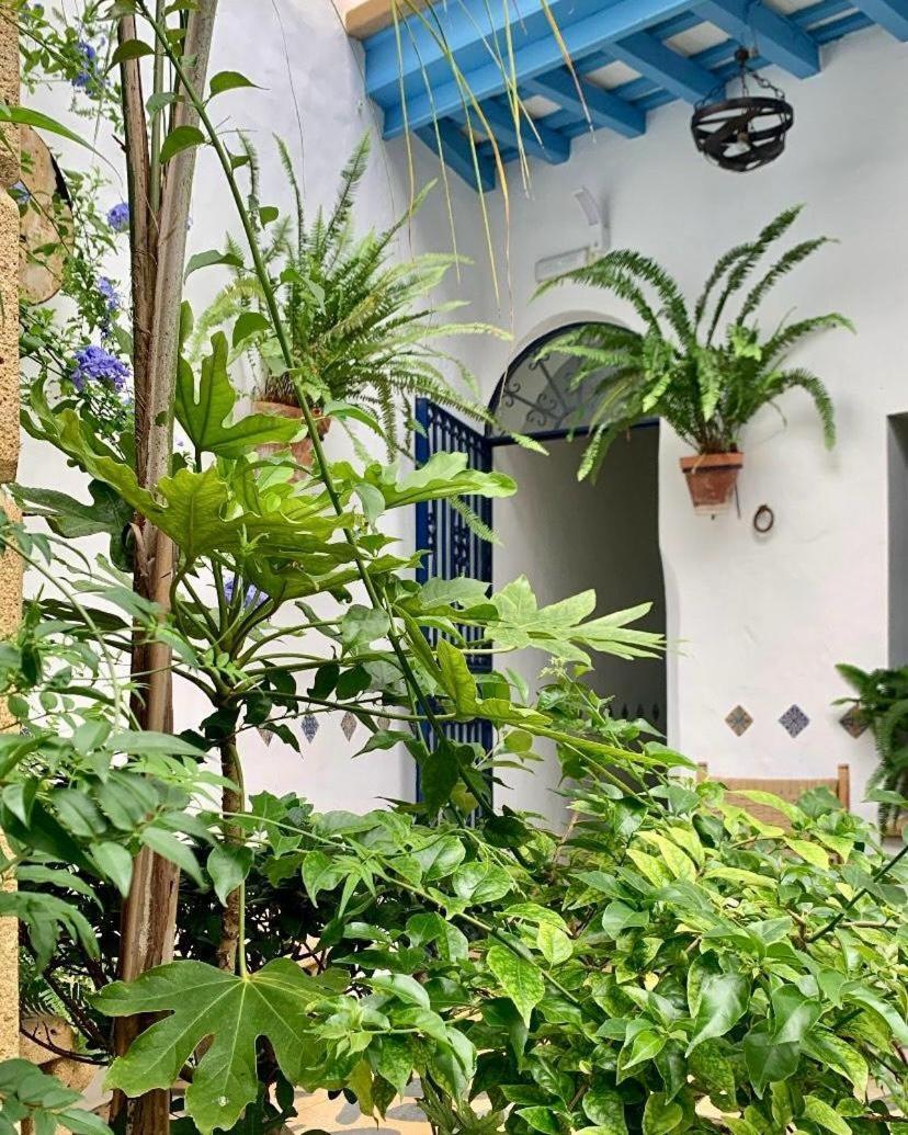 Hostal Casa Alborada Conil De La Frontera Εξωτερικό φωτογραφία