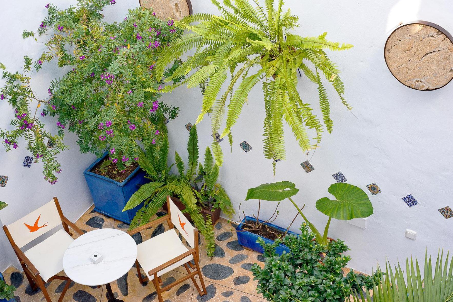 Hostal Casa Alborada Conil De La Frontera Εξωτερικό φωτογραφία