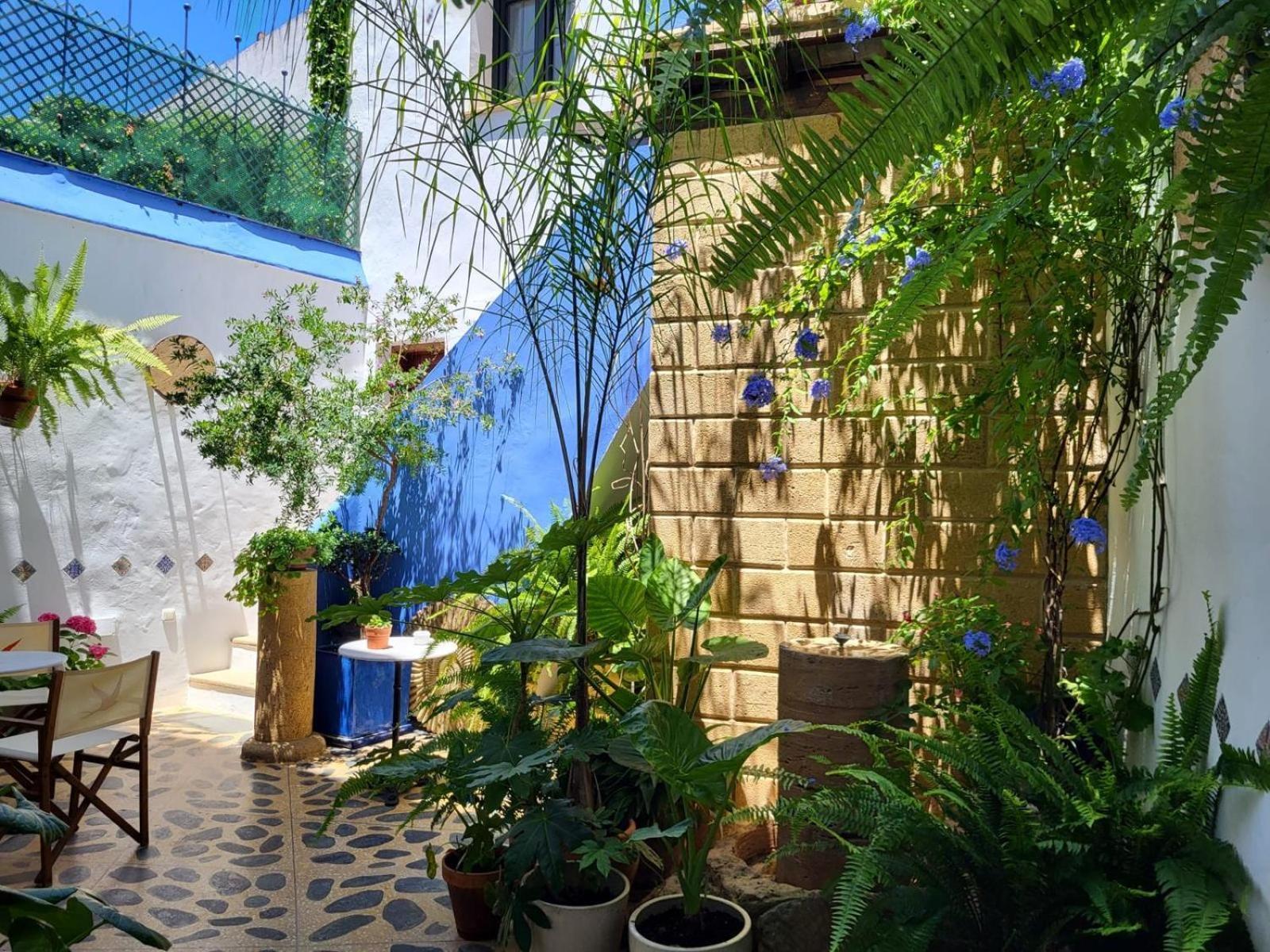 Hostal Casa Alborada Conil De La Frontera Εξωτερικό φωτογραφία